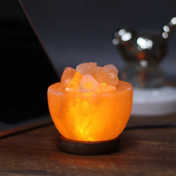 Himalayan Salt lamp bowl