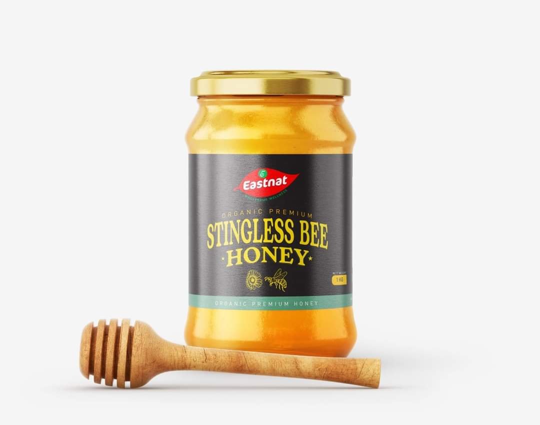 Stingless Bee Honey 500g - Image 1