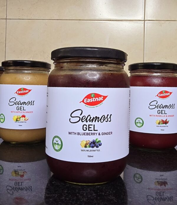 Seamoss Blueberry Ginger