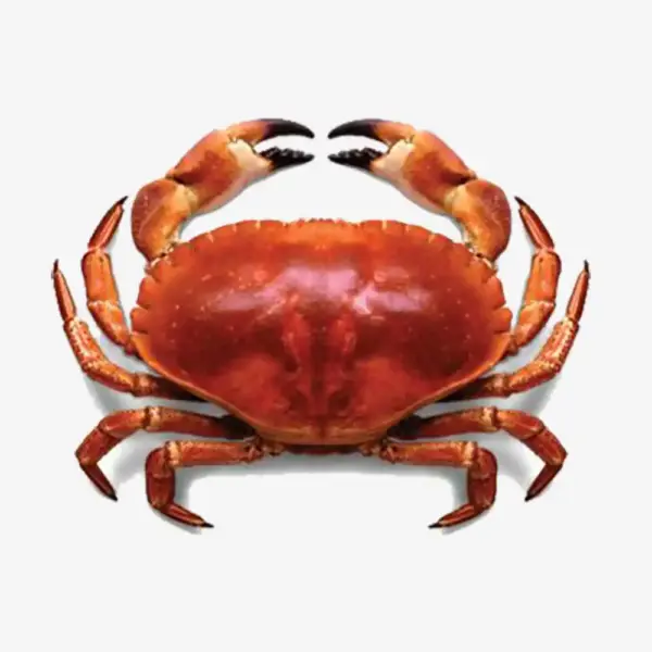 Red Crab