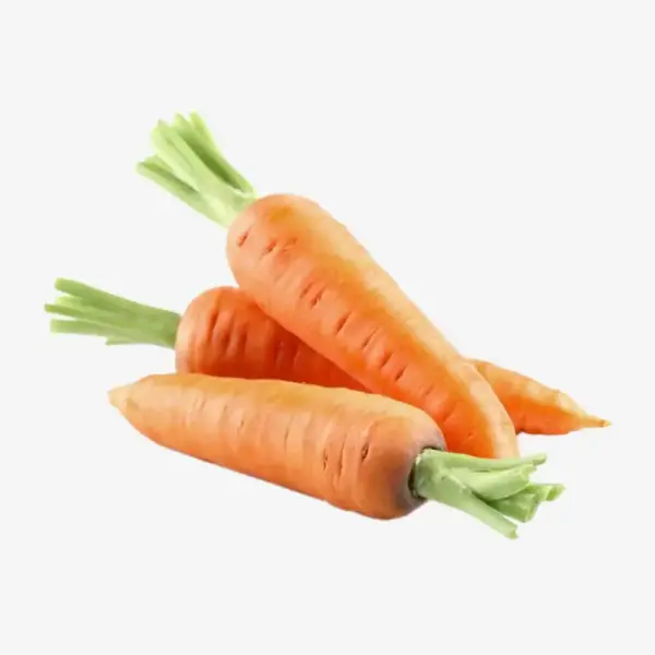Carrot