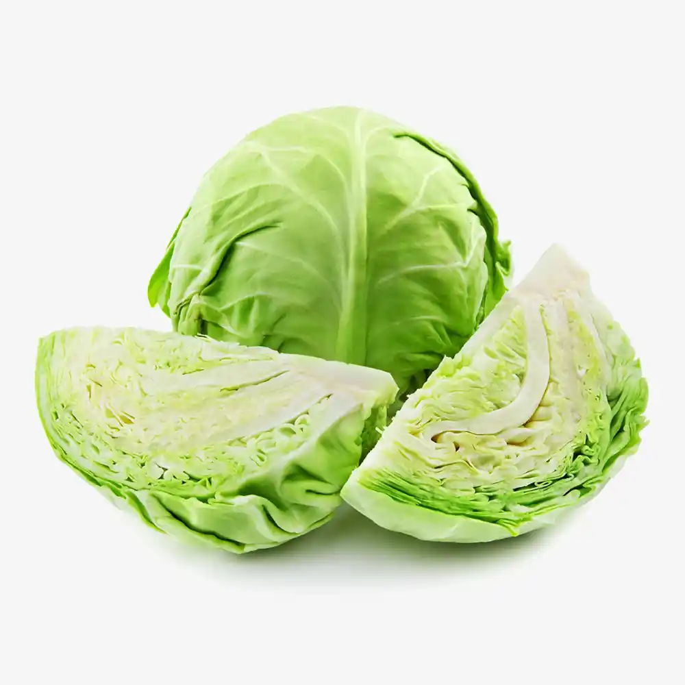 Cabbage